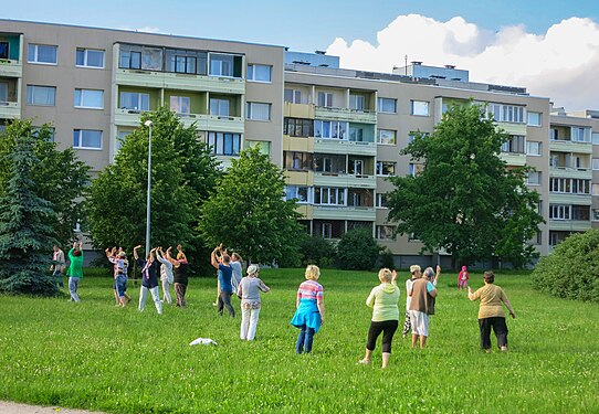 Park aerobics for seniors in Estonia