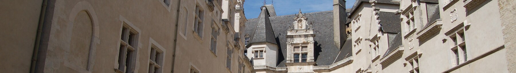 Pau banner Château de Pau.jpg