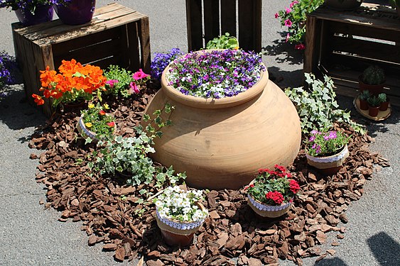 Présentation sur le Marché aux fleurs de Béziers (Hérault)