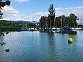 Pfäffikersee - Auslikon IMG 3462.jpg