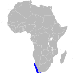 Phalacrocorax neglectus map.svg