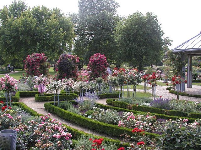 un Blomen Rosengarten 1.jpg - Wikimedia