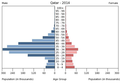 English: The population pyramid of Qatar illustrates the age and sex structure of population and may provide insights about political and social stability, as well as economic development. The population is distributed along the horizontal axis, with males shown on the left and females on the right. The male and female populations are broken down into 5-year age groups represented as horizontal bars along the vertical axis, with the youngest age groups at the bottom and the oldest at the top. The shape of the population pyramid gradually evolves over time based on fertility, mortality, and international migration trends. Українська: Віково-статева піраміда населення Катару за 2014 рік. Вона дає наочне уявлення про вікову і статеву структура населення країни, може слугувати джерелом інформації про політичну і соціальну стабільність, економічний розвиток. Блакитними кольорами ліворуч, у вигляді горизонтальних смуг показані вікові групи (з кроком 5 років кожна) чоловічої статі, праворуч рожевими — жіночої. Наймолодші вікові групи — внизу, найстаріші — вгорі. Форма піраміди поступово еволюціонує з плином часу під впливом чинників народжуваності, смертності і світової міграції.