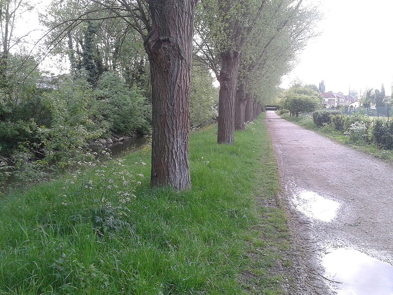 File:Promenade de la liaison verte et rivière de l'Yerres, Montgeron 2.jpg