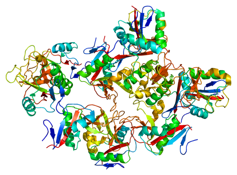 File:Protein CD209 PDB 1k9i.png