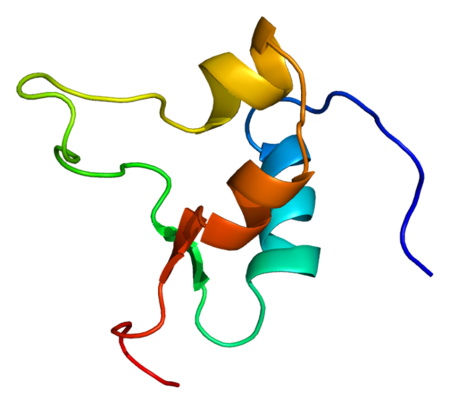 Faktor pertumbuhan seperti insulin 2