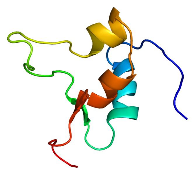 File:Protein IGF2 PDB 1igl.png