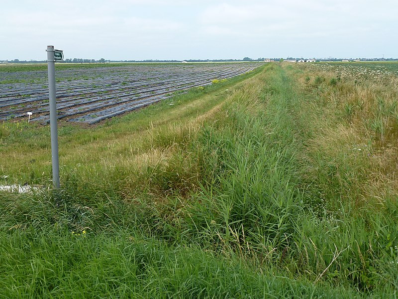 File:Public footpath to Englands Farm - geograph.org.uk - 3555746.jpg