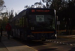 ruta 7 pumabus