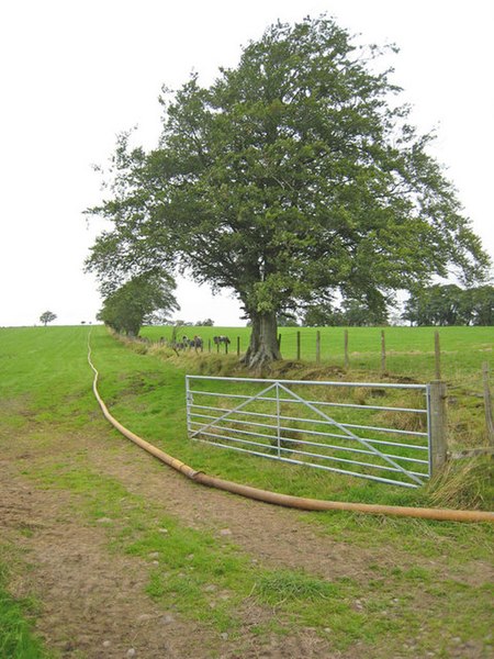 File:Pumping out the slurry, Holmehead (2) - geograph.org.uk - 548251.jpg