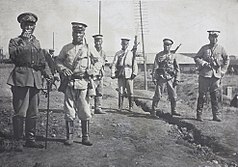Qing New Army in 1911