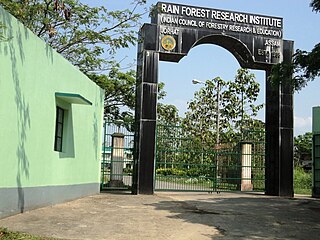 <span class="mw-page-title-main">Rain Forest Research Institute</span>