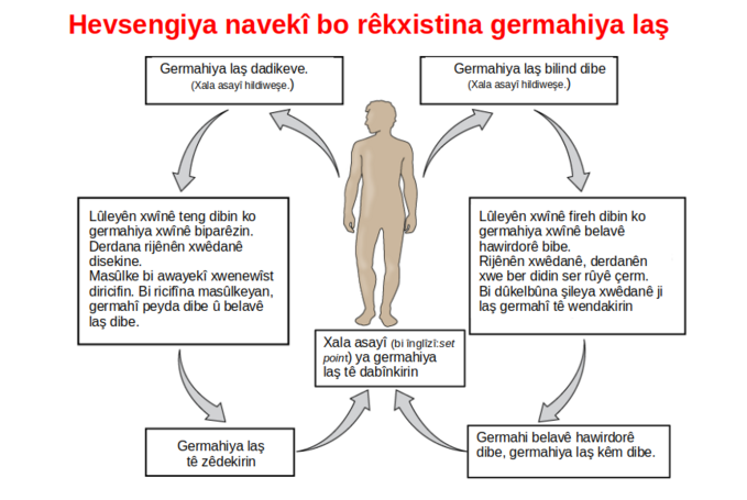 Hevsengiya Navekî