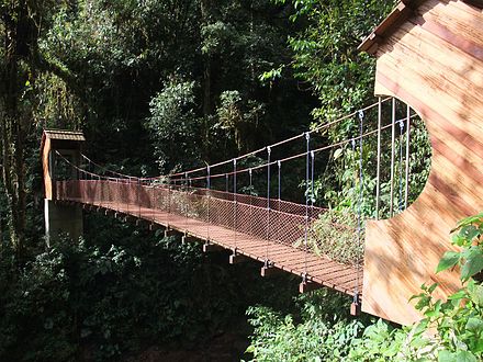 Rio Tigre Suspension Bridge