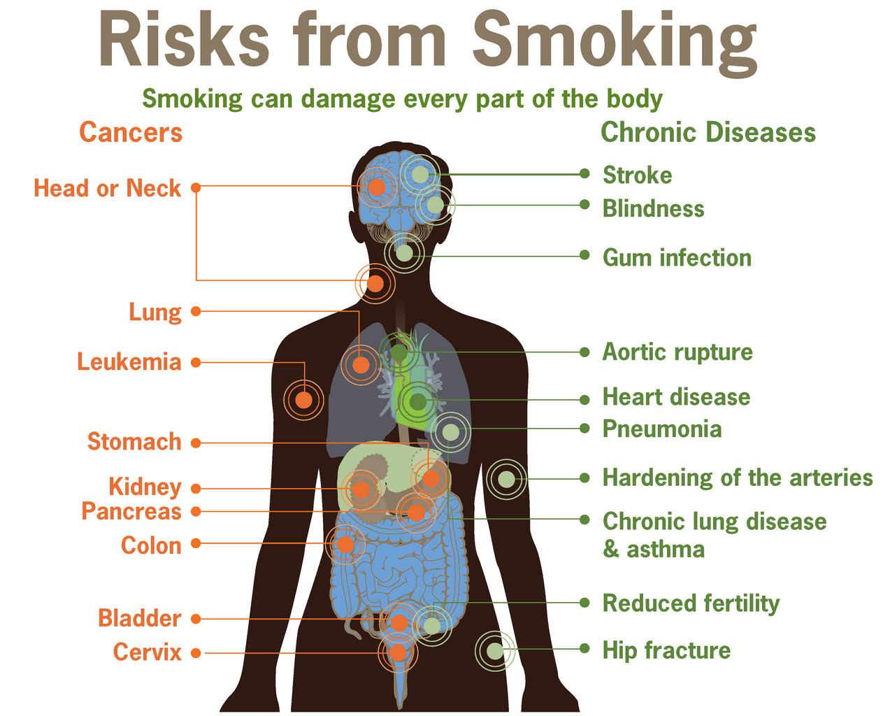 The factors that influence the legalization of active and 