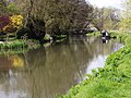 Thumbnail for File:River Wey Below Bowers Lock - geograph.org.uk - 2904834.jpg