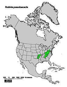 Robinia pseudoacacia range map.jpg