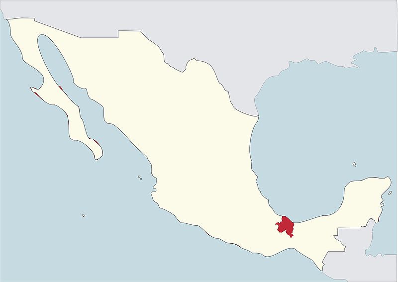 File:Roman Catholic Diocese of San Andres Tuxtla in Mexico.jpg