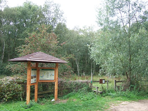 Roydon Common National Nature Reserve - geograph.org.uk - 2050531