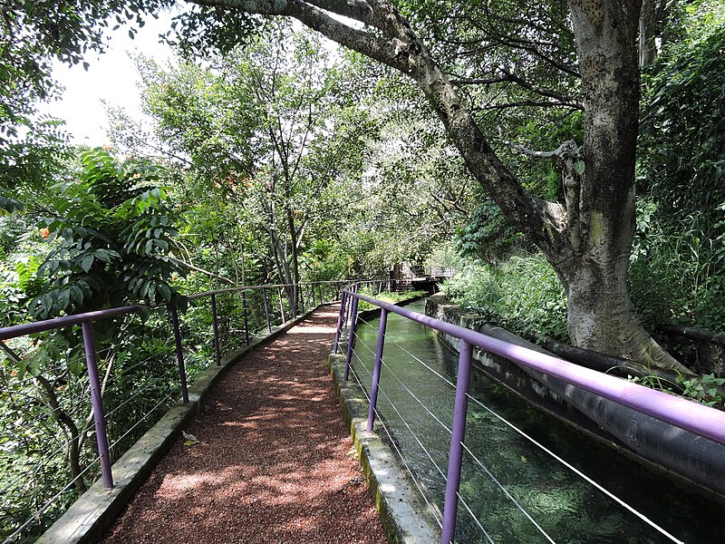 File:Running track. Cuernavaca Morelos.jpg