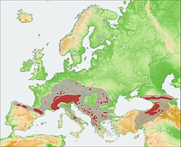 Areál rozšíření:   šedě – holocén;  červeně – současnost (dle IUCN 2011)