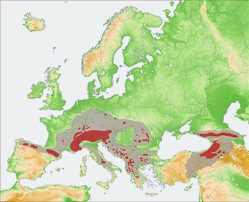 Rupicapra range