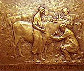 Paul Richer, Saturnin Arloing (1846-1911), médaille en bronze, revers. Saturnin Arloing en train de vacciner l’une des vaches d’un troupeau.