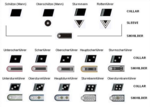 Миниатюра для Звания и знаки различия войск СС