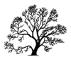 Salix fragilis Silhouette (oddsock).png