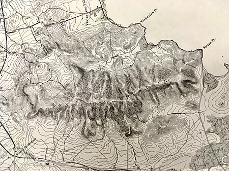 Topographic rendering done in 1869 showing trees in the ravines