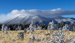 San Francisco Peaks fra den nærliggende Mount Elden