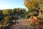 Thumbnail for San Luis Obispo Botanical Garden