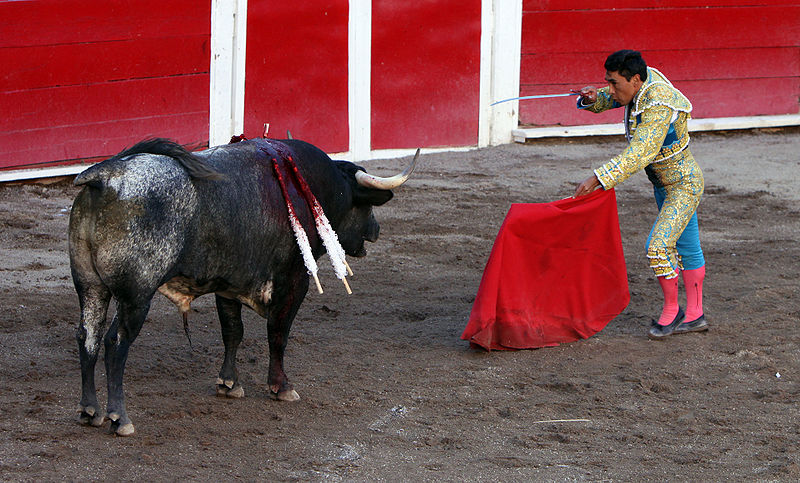 File:San marcos bullfight 11.jpg