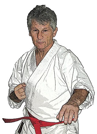 <span class="mw-page-title-main">Guy Sauvin</span> French karateka