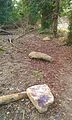 Scattered stones along by the White Horse Stone, a monolith near Blue Bell Hill.