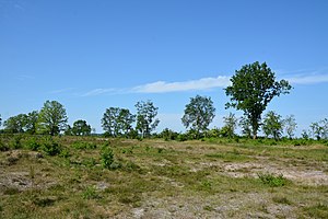 Schleswig-Holstein, Elpersbüttel, Landschaftsschutzgebiet Jägersburger Heide NIK 3336.jpg