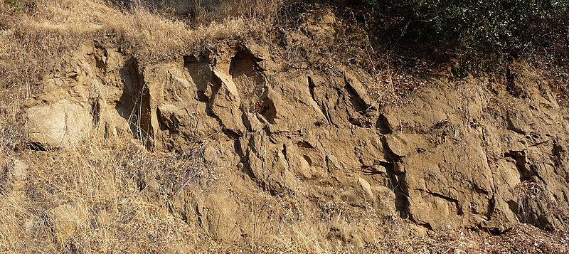 File:Sequoia National Park - Road cut off Mineral King Rd.JPG