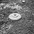 Serie Landmijnen ruimen bij Hoek van Holland, Bestanddeelnr 900-6494.jpg