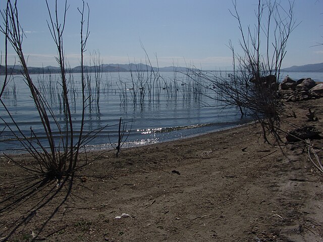 Shore of Lake Elsinore