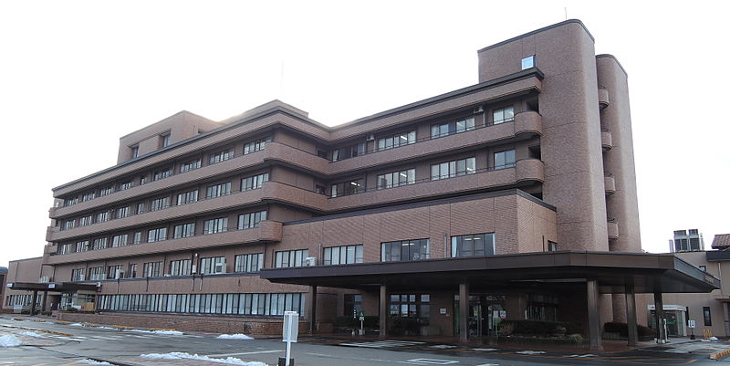 File:Showa Inan General Hospital Hospital.JPG