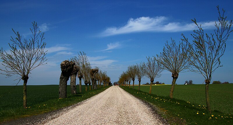 File:Skåne 2017-05-13 (35471333415).jpg