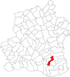 Lage in Teleorman County