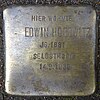 Stolperstein Loogestieg 10 (Edwin Horowitz) in Hamburg-Eppendorf.jpg