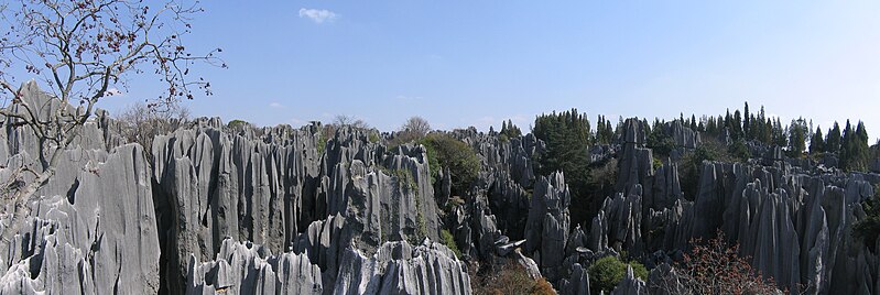 File:Stone Forest Panorama.jpg