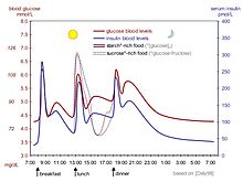 Ιδανική καμπύλη διακύμανσης γλυκόζης και ινσουλίνης στον άνθρωπο κατά τη διάρκεια μιας ημέρας που περιέχει τρία γεύματα: πρωινό(στις 8:00), μεσημεριανό(12:30) και βραδινό(18:00). Μετάφραση σημειώσεων: breakfast=πρωϊνό, lunch=μεσημεριανό, dinner=βραδινό, glucose blood levels=επίπεδα γλυκόζης αίματος, insulin blood levels=επίπεδα γλυκόζης αίματος, starch-rich food=φαγητό προύσιο σε άμυλο, sucrose-rich food=φαγητό πλούσιο σε σάκχαρα. Επεξήγηση εικόνας: Κάτω οριζόντια είναι οι ώρες της ημέρας. Αριστερά κάθετα έχουμε τις μετρήσεις σε mmol/L και σε mg/L. Η κόκκινη γραμμή είναι η διακύμανση της γλυκόζης και η μπλε της ινσουλίνης. Η διακεκομμένη γραμμή είναι η περίπτωση μεσημεριανού πλούσιου σε ζάχαρη. Τα μέγιστα της γλυκόζης είναι μετά τα γεύματα και ανέρχονται στα 6,25 mmol/L ή 113 mg/L. Τα ελάχιστα είναι μερικές ώρες μετά τα γεύματα και κατέρχονται στα 4,5 mmol/L ή 81 mg/L. Όταν το γεύμα είναι πλούσιο σε ζάχαρη έχουμε λίγο μεγαλύτερη άνοδο της γλυκόζης αλλά και μεγαλύτερη κάθοδο γιατί παράγεται περισσότερη ινσουλίνη.