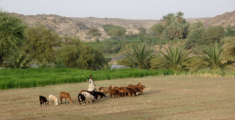 File:SudanPastures.JPG