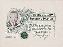 Bobby Bluegum Sunshine Soldier Certificate Sunshine Soldiers.jpg