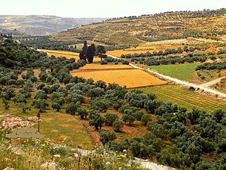 Surif Municipality type A in Hebron, State of Palestine