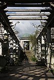 A Hill Garden - geograph.org.uk - 838639.jpg