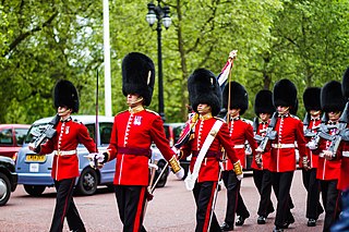 <span class="mw-page-title-main">King's Guard</span> Military units charged with protecting the royal residences of the United Kingdom